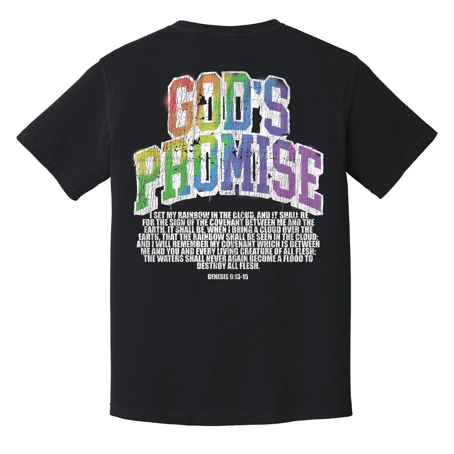 God's Promise Tee