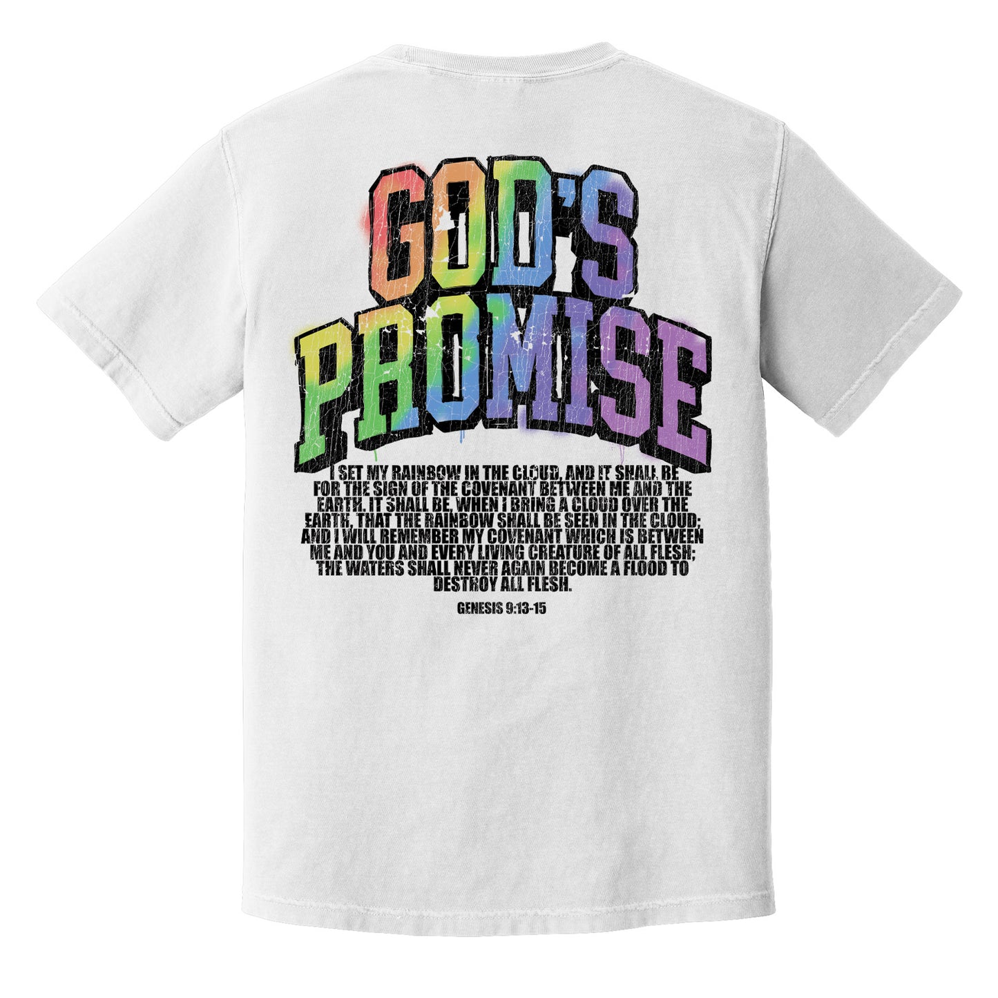 God's Promise Tee